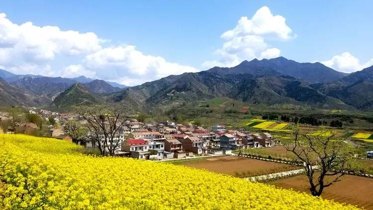 藍田縣2022年玉山鎮(zhèn)1.3萬畝高標準農田建設項目第3包（灌溉與排水）